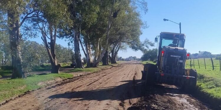 Más infraestructura para la ciudad: continúan los trabajos en veredas, calles y canales