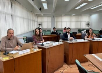 Concejales de la oposición exigen acciones del Municipio frente a «crecientes hechos de inseguridad»