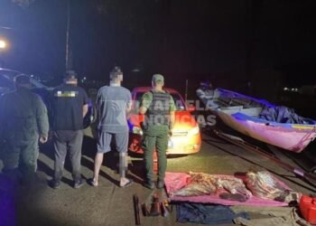 Faena ilegal en Puerto Reconquista: carne, armas y dos detenidos