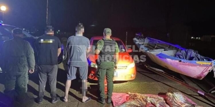 Faena ilegal en Puerto Reconquista: carne, armas y dos detenidos