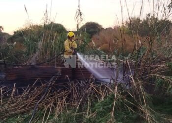 Incendio en un cañaveral de Colonia Margarita