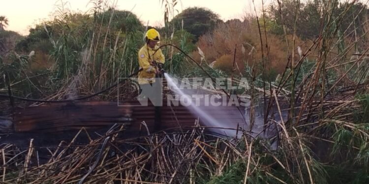 Incendio en un cañaveral de Colonia Margarita