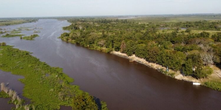 La Provincia avanza en la protección de sus humedales