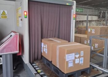 Desde Rosario ya se exporta carne y pescado por vía aérea