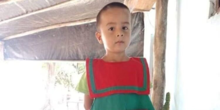 Un año sin Loan: sospechas, procesamientos y una verdad que sigue sin aparecer