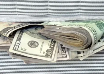 ¿Y si tus dólares pueden mover la economía? El plan Milei para captarlos sin castigo