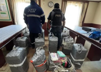 Tráfico internacional Bullrich llega a Santa Fe para quemar casi media tonelada de cocaína hallada en un buque con destino a Ámsterdam