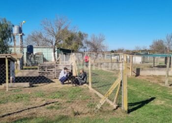 “La reubicación del REMA no debería existir porque la idea es que se vayan todos”