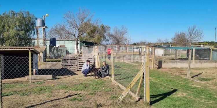“La reubicación del REMA no debería existir porque la idea es que se vayan todos”