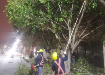Avanza el plan municipal de poda en distintos sectores de la ciudad