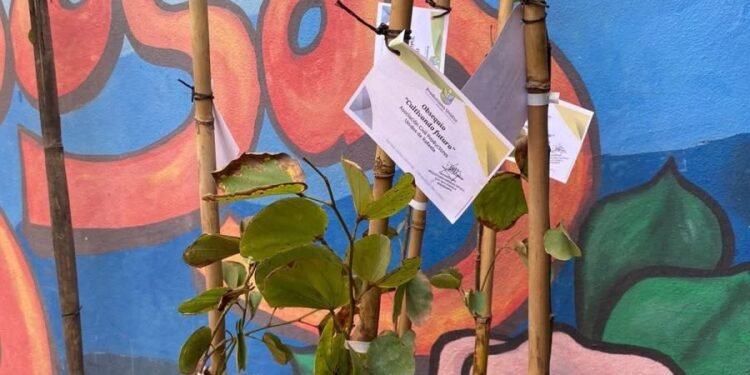 Nuevo registro para plantación de árboles en Villa Rosas