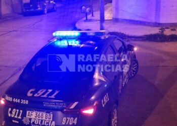 Ladrones con mucha «sed»: se llevaron más de 35 botellas de bebidas alcohólicas