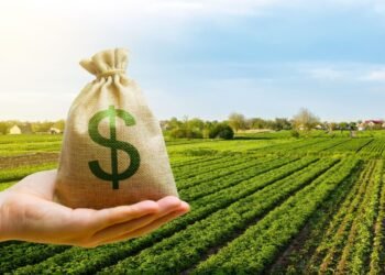 Retenciones, precios y rentabilidad: claves para entender el nuevo escenario del campo