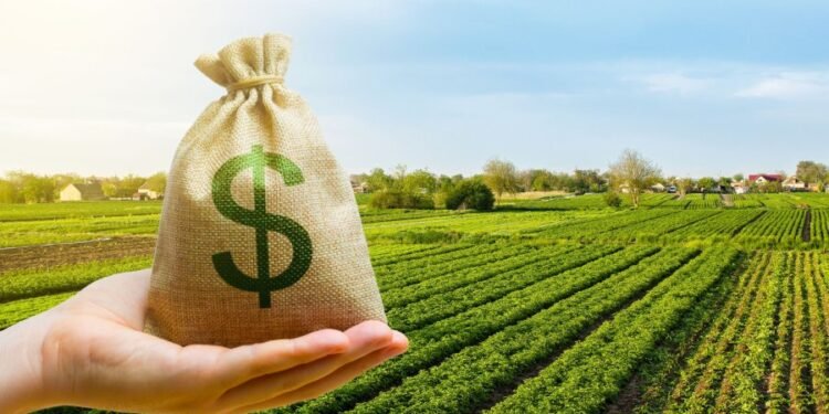 Retenciones, precios y rentabilidad: claves para entender el nuevo escenario del campo