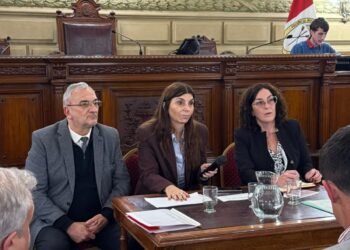 Calvo en las comisiones de Poder Ejecutivo y Legislativo, y en la de Funcionamiento del Estado y Participación Ciudadana