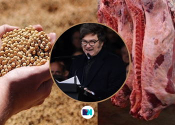 Milei oficializó la baja de retenciones para granos y carne