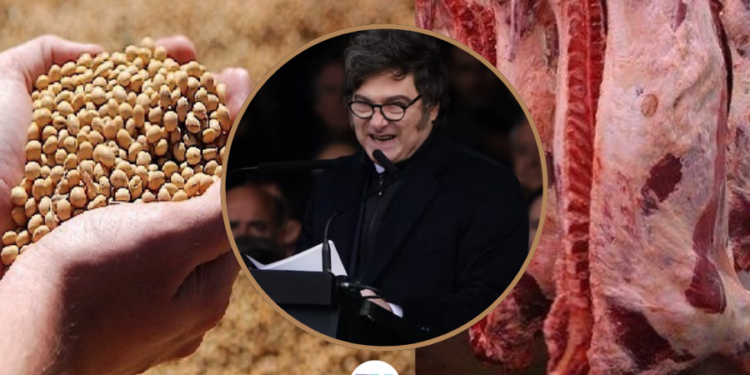 Milei oficializó la baja de retenciones para granos y carne