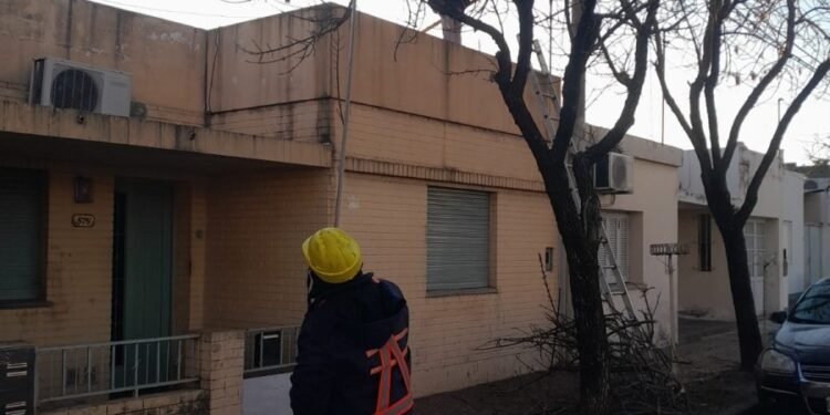 La poda urbana sigue su curso con nuevas intervenciones en barrio Fasoli