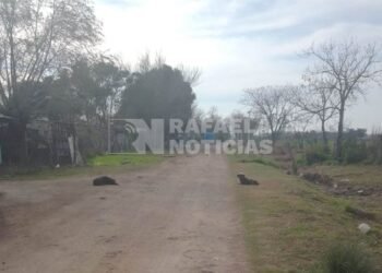 En Rafaela, cerca de 150 familias viven en asentamientos