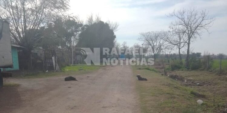 En Rafaela, cerca de 150 familias viven en asentamientos