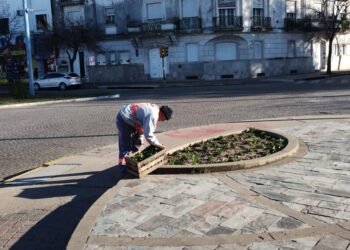 Nueva entrega de plantines para embellecer los espacios públicos