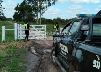 Duro golpe para un productor de la región: le faenaron 3 vaquillonas