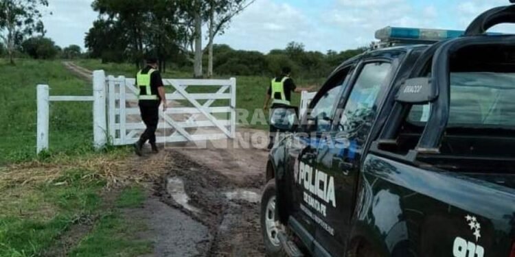 Duro golpe para un productor de la región: le faenaron 3 vaquillonas