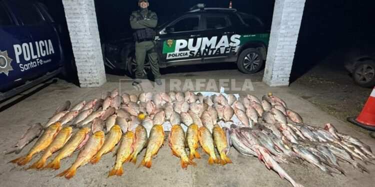 Pescó de más y lo «pescaron» a él: incautaron unas 100 piezas ictícolas en Esperanza