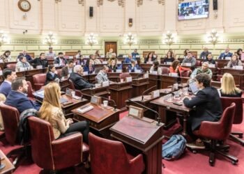 Última audiencia pública de la Comisión de Declaraciones, Derechos y Garantías