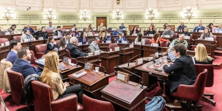 Última audiencia pública de la Comisión de Declaraciones, Derechos y Garantías