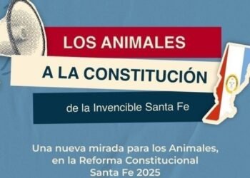 Los animales a la Constitución»: abogadas santafesinas impulsan una reforma histórica