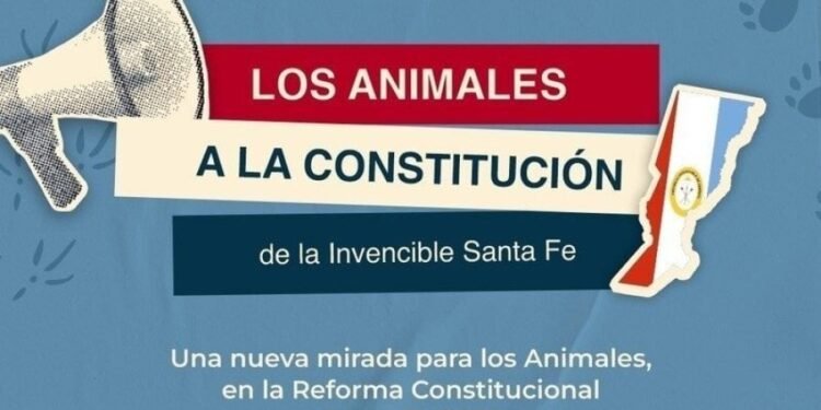 Los animales a la Constitución»: abogadas santafesinas impulsan una reforma histórica