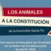 Los animales a la Constitución»: abogadas santafesinas impulsan una reforma histórica