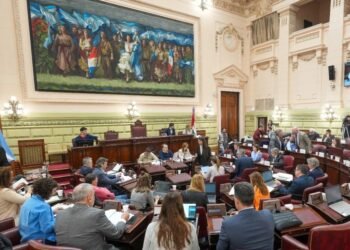 La Comisión Redactora emitió dictámenes sobre Funcionamiento del Estado