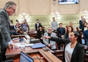 Verónica Colombo juró como convencional reformadora