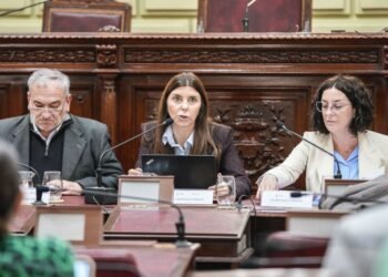 La Comisión de Funcionamiento del Estado y Participación Ciudadana trató seguridad y servicios públicos