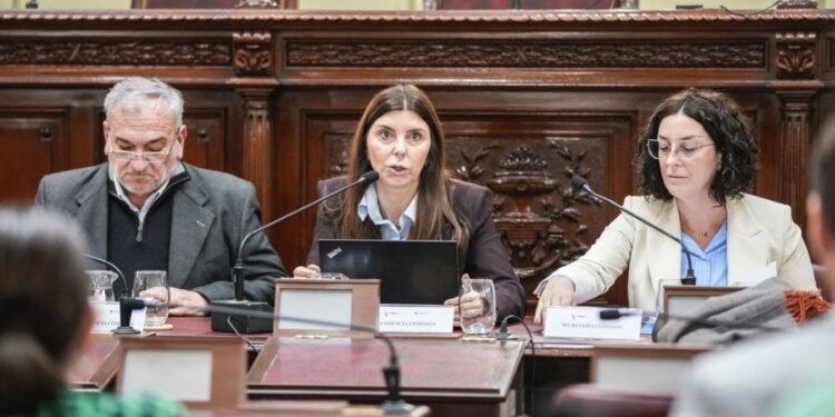 La Comisión de Funcionamiento del Estado y Participación Ciudadana trató seguridad y servicios públicos