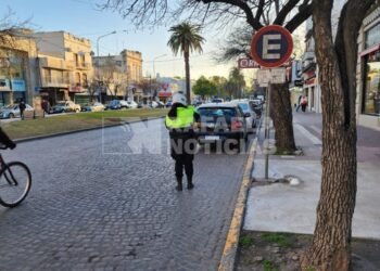 Corte de tránsito en avenida Santa Fe por retiro de un árbol en riesgo