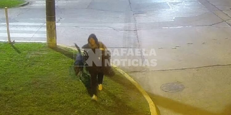 Cayó un «rompevidrieras»: lo detuvieron con trabajo del Centro de Monitoreo