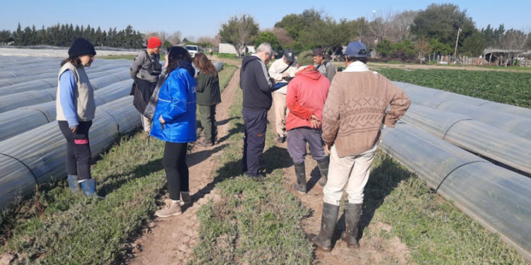 Detectaron precarias condiciones laborales en trabajadores de la frutilla en Santa Fe