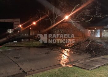 Tormenta en Rafaela: comenzaron las primeras dificultades en la ciudad
