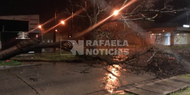 Tormenta en Rafaela: comenzaron las primeras dificultades en la ciudad