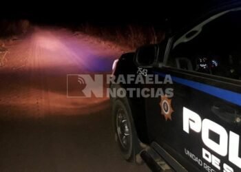 Grave pérdida para un productor de Angélica: le carnearon cinco animales de más de 200 kilos