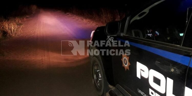 Grave pérdida para un productor de Angélica: le carnearon cinco animales de más de 200 kilos