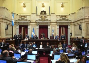 El Senado define agenda: oposición busca revertir vetos y blindar al sistema nuclear