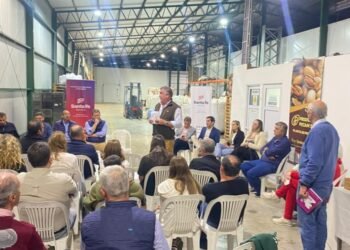 Santa Fe impulsa la producción de nuez pecán con el lanzamiento de la primera Mesa Provincial para el sector