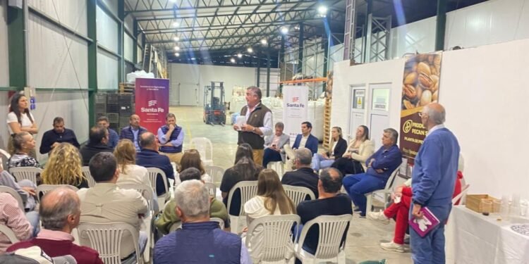 Santa Fe impulsa la producción de nuez pecán con el lanzamiento de la primera Mesa Provincial para el sector