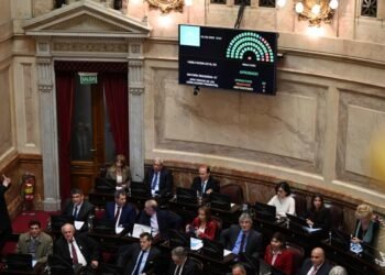 El Senado rechazó un veto del Gobierno y restituyó la ley de emergencia en discapacidad