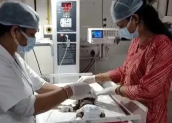 Lucha por su vida India: rescataron a una recién nacida que fue enterrada viva