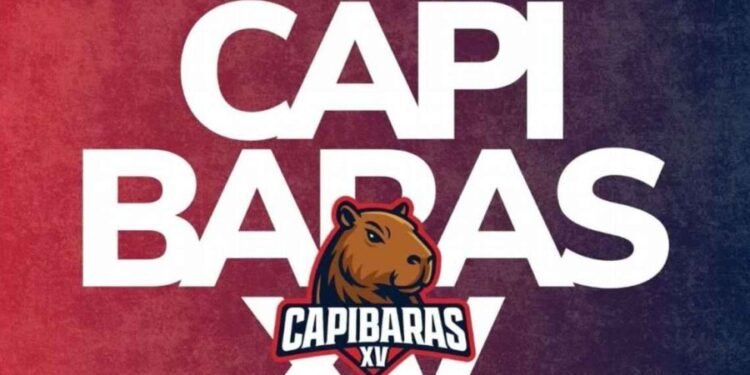 Súper Rugby Américas: Capibaras XV, el nombre para la nueva franquicia del Litoral